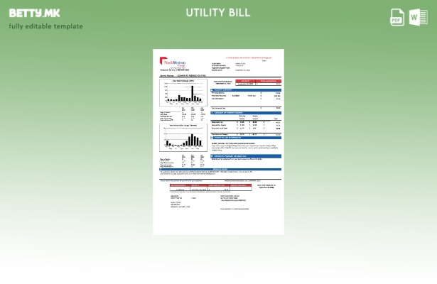 Модерен стил шаблон верзија на сметки за комунални услуги на САД Northwestern  1